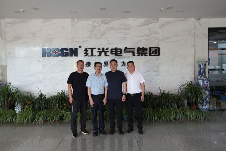 乐清市市场监视局刘勇局长一行莅临云顶集团电气集团调研